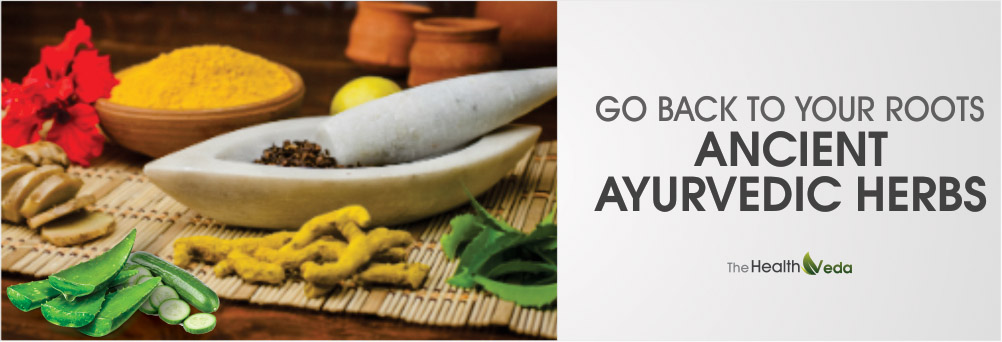 Go-back-to-your-Roots-Ancient-Ayurvedic-Herbs