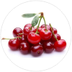 Tart-Cherries