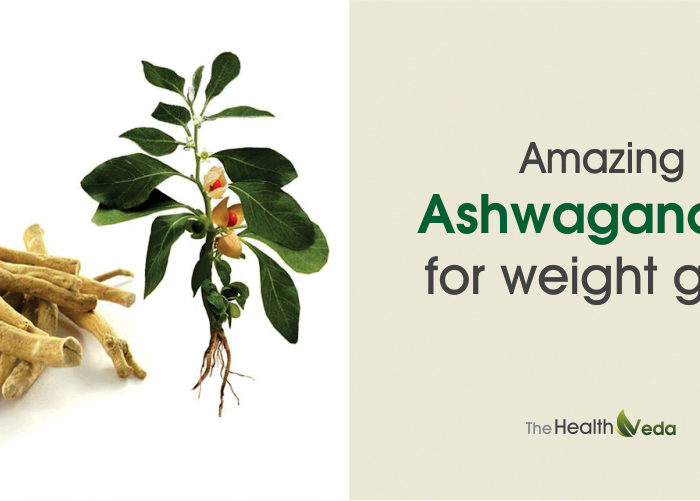 does ashwagandha help gain weight