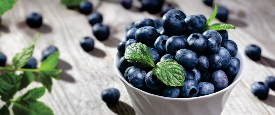 EAt-Blueberries-to-Lower-Cholesterol-Level