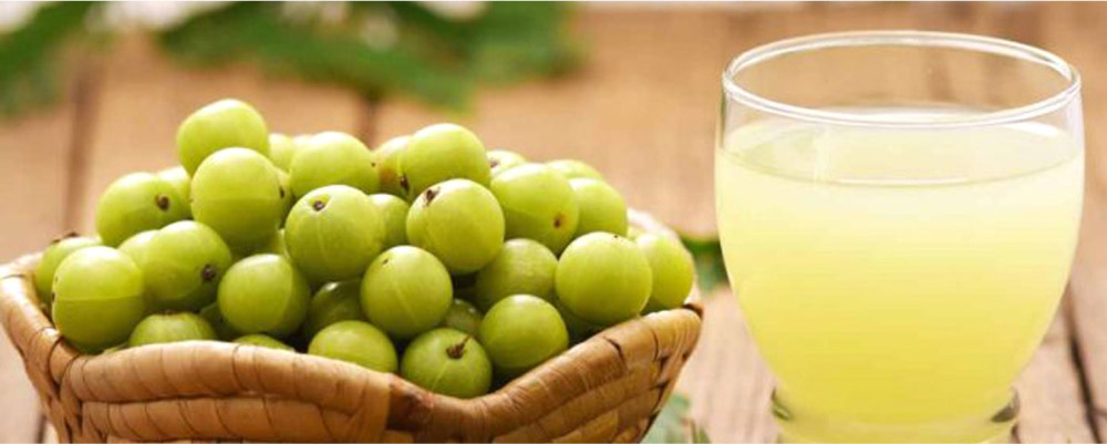 Indian-Gooseberry-or-amla-helps-you-to-lower-down-your-cholestrol