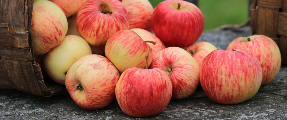 Eat-Apples-to-Reduce-Belly-Fat-and-Get-Perfect-Shape