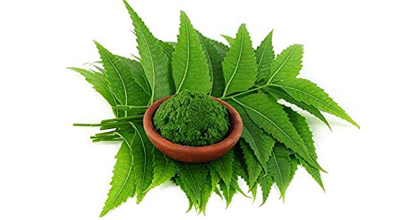 Add-Neem-in-your-lifestyle-for-Cystic-Acne