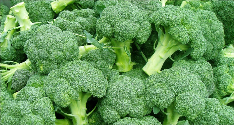 Broccoli-You-Must-Add-in-Your-Diet