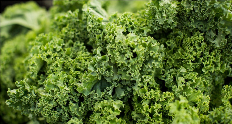 Kale-You-Must-Add-in-Your-Diet`