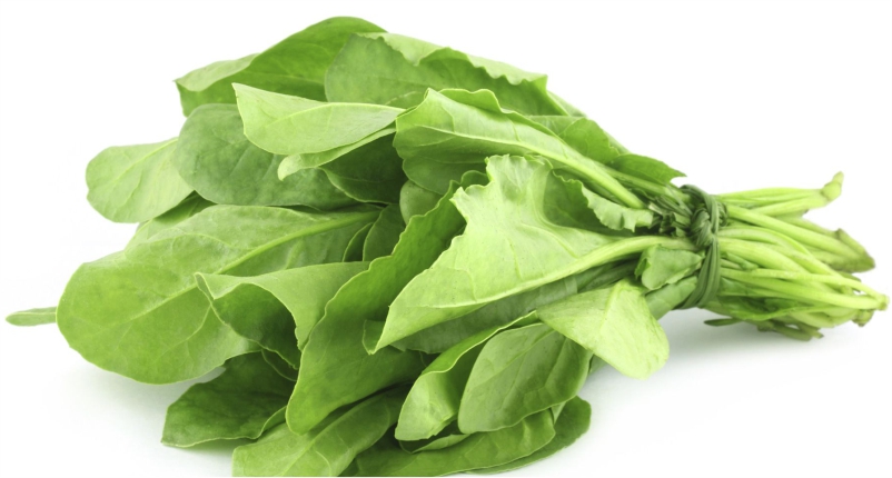 Spinach-You-Must-Add-in-Your-Diet`