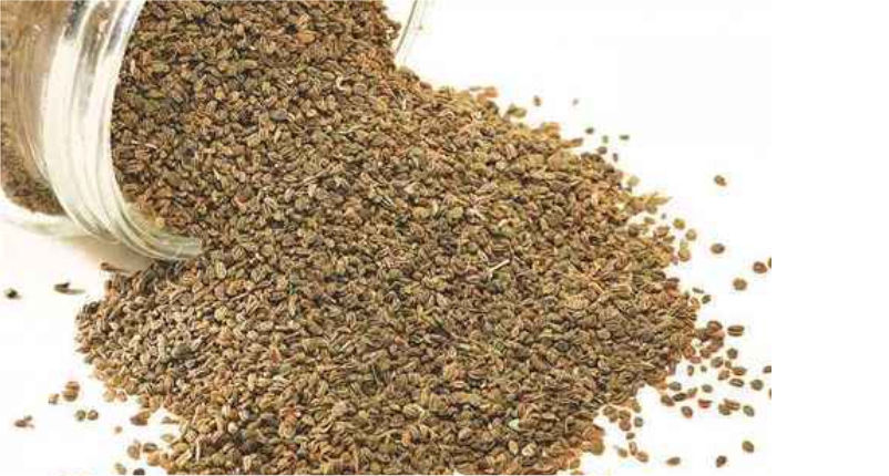 Use-Ajwain-(Carom-Seeds)-in-your-diet-to-Get-Rid-of-Gastritis-Pain