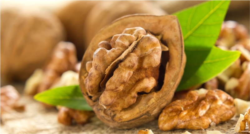 Walnuts -You-Must-Add-in-Your-Diet