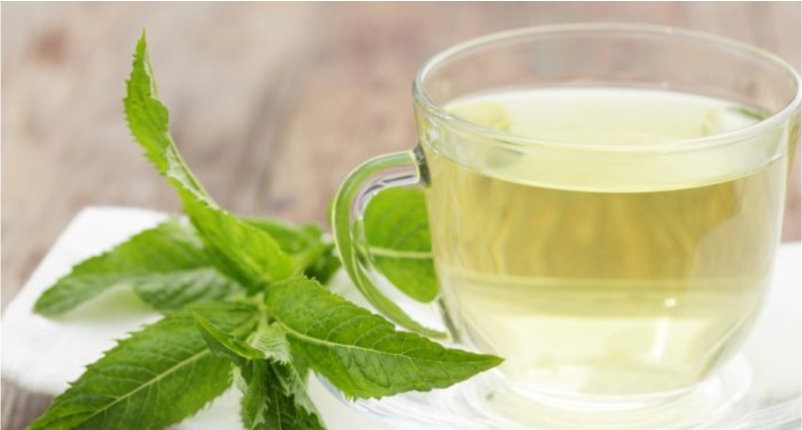 Peppermint-help-in-Weight-Loss-Process