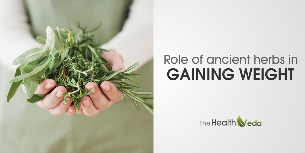 Role of Ancient Herbs in Gaining Weight