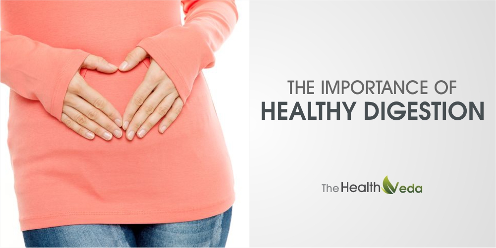 The Importance of Healthy Digestion