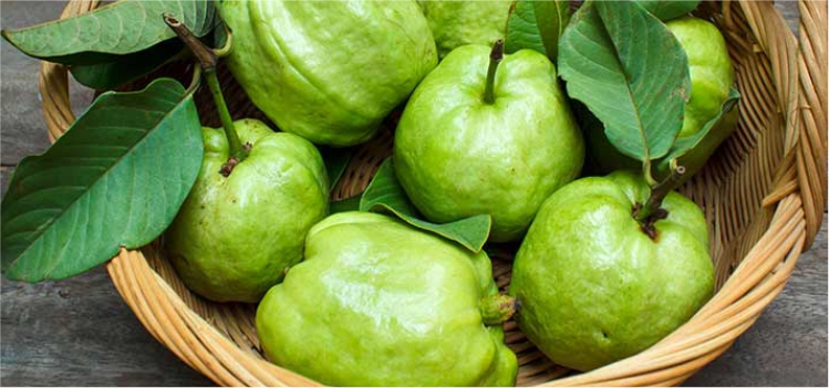 How-can-Eating-Guava-be-Effective-for-Your- Health-Know-Here-blog