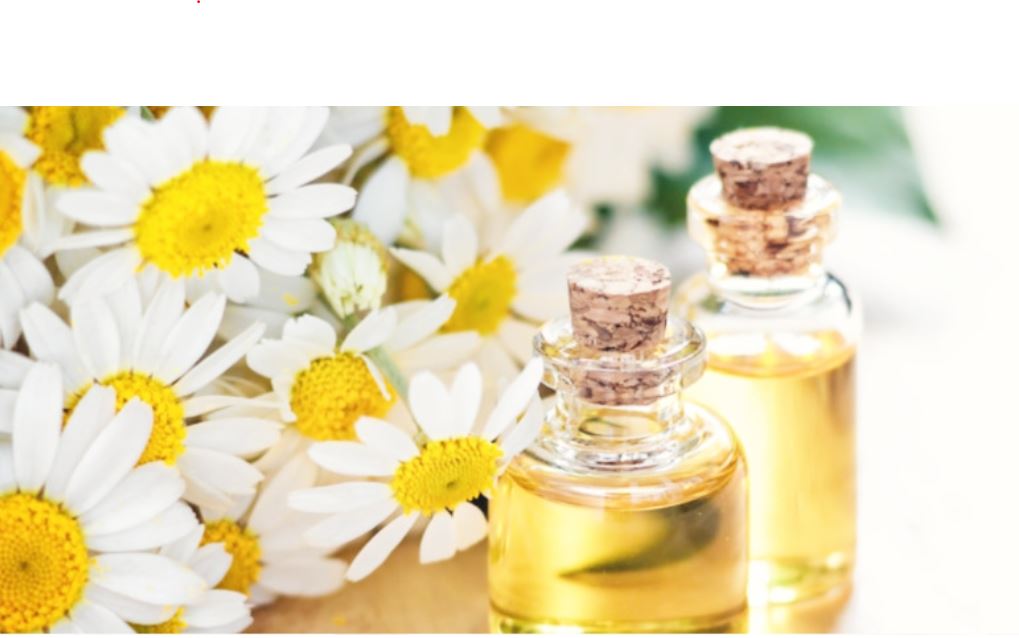 hamomile Essential Oil 