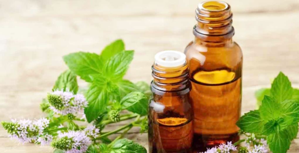 Peppermint Essential Oil 